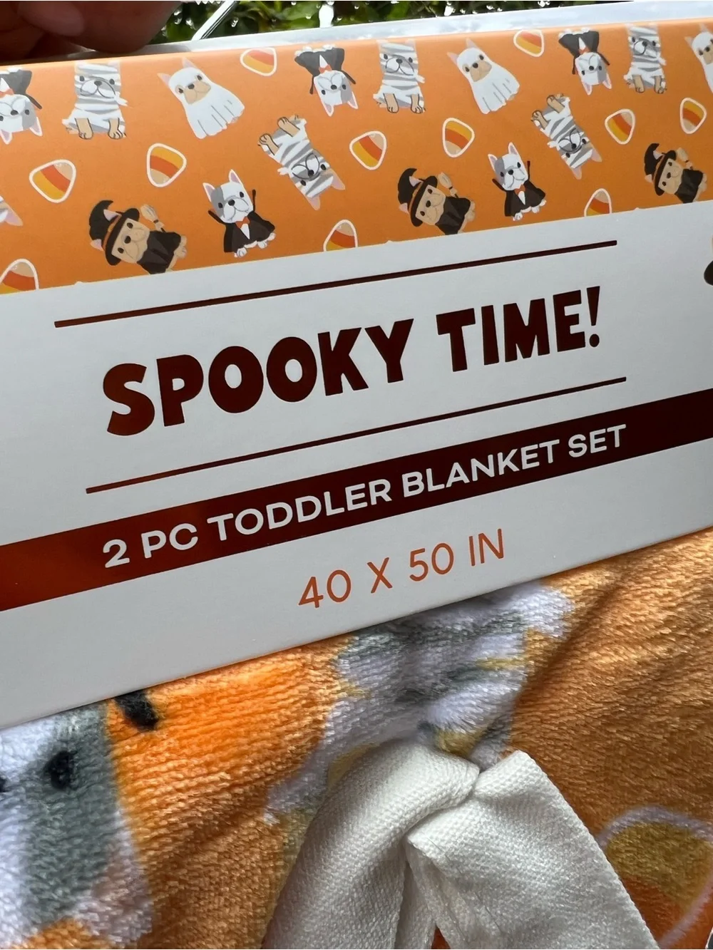 Halloween French Bulldogs in Costumes Toddler Blanket & Treat Tote Set